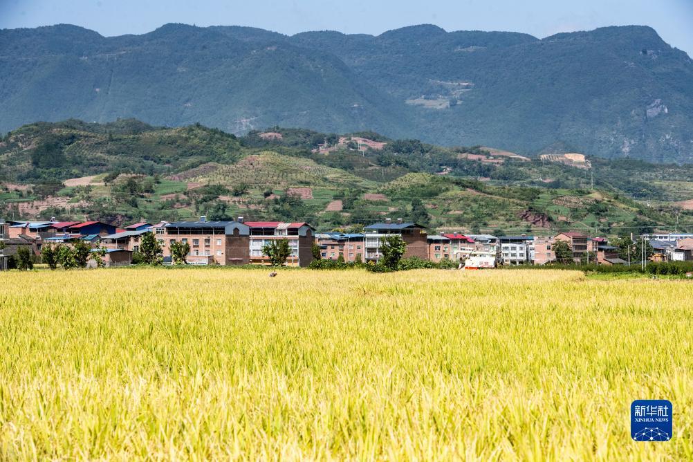 赢钱可提现正规游戏
